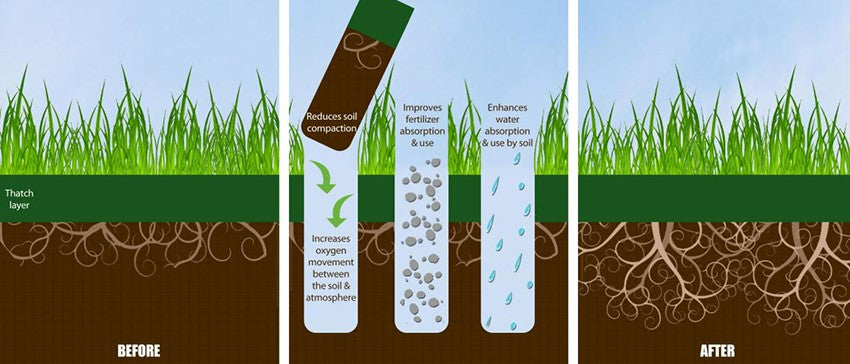 Core Aeration