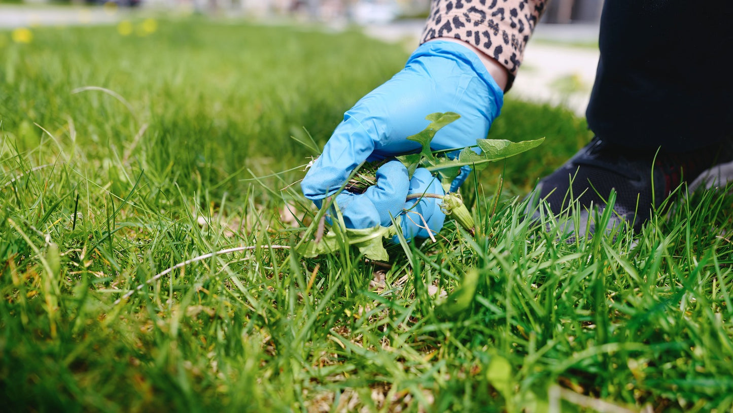 Weed Control