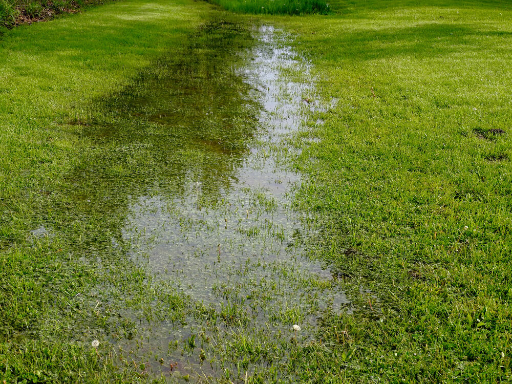 Drainage