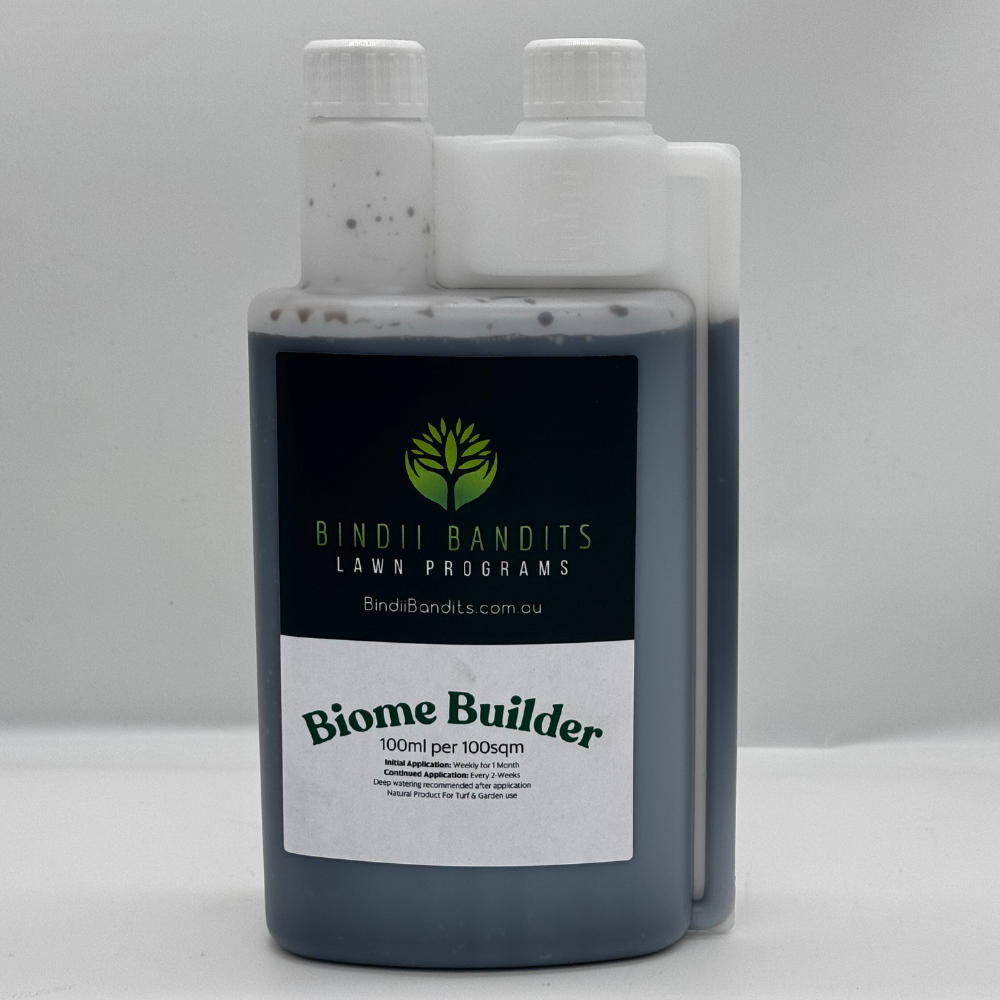 Biome Builder