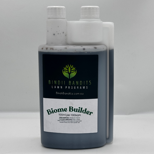 Biome Builder