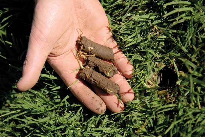 Core Aeration