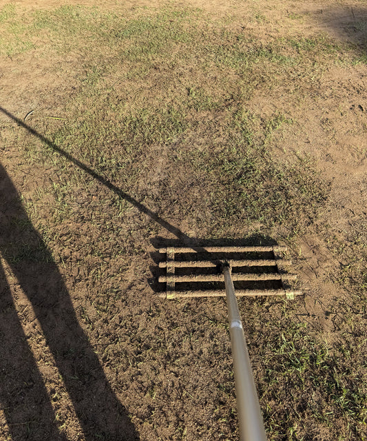 Lawn Renovation