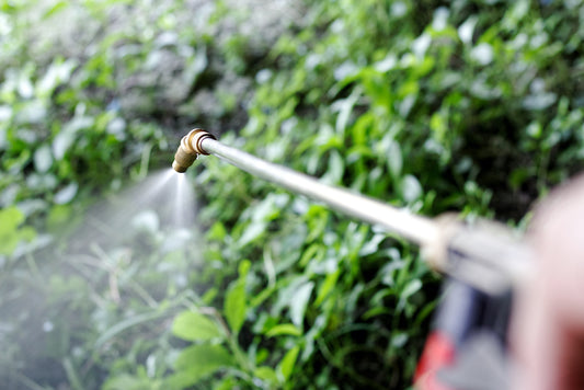 Weed Control